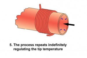 5. The process repeats indefinitely regulating the tip temperature.:  적절한 팁의 온도를 유지하기 위해 본 과정은 지속적으로 반복된다.