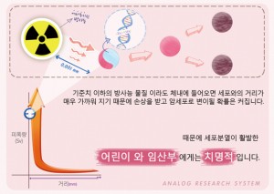 Figure 4 내부 피폭의 위험성, 방사능과의 거리에 따른 피폭량