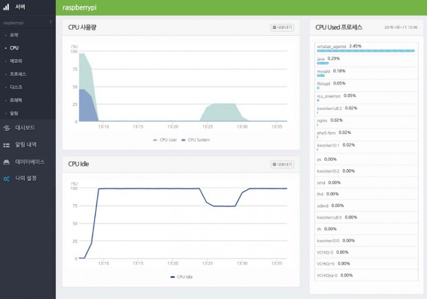 라즈베리파이 CPU 항목 정보